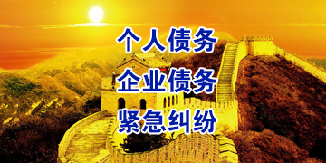 嘉鱼追债公司